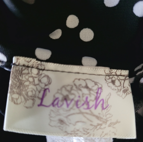 Lavish Capped Sleeve Blouse - Picture 8 of 10